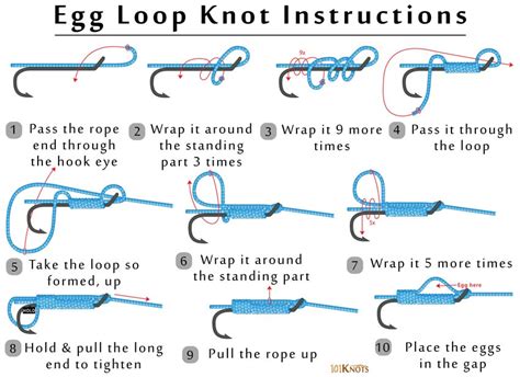 Egg Loop Knot | 101Knots