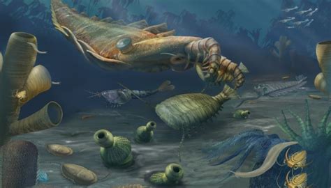 Earth’s First Known Mass Extinction Event Starved Life of Oxygen ...