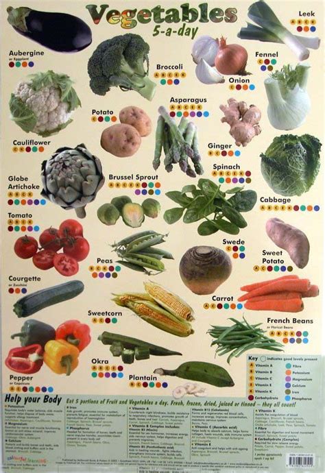 5 Vegetables a day poster with nutritional guide poster chart nutrition poster chart - £3.99 ...