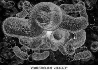 Close 3d Illustration Microscopic Cholera Bacteria Stock Illustration ...