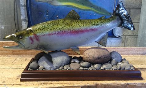 Rainbow Trout Fish mount | mounted fish | fish trophy