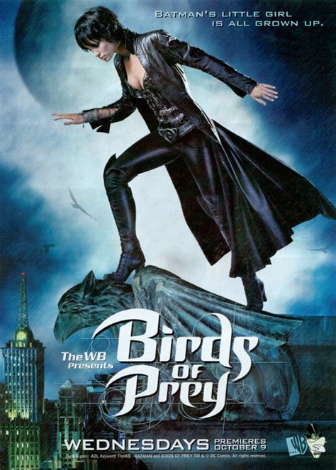 Birds of Prey TV Poster - IMP Awards