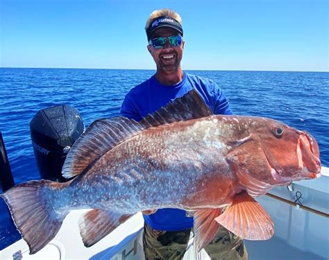 Red Grouper Fishing Cape Coral - Blue Line Fishing Charters, LLC