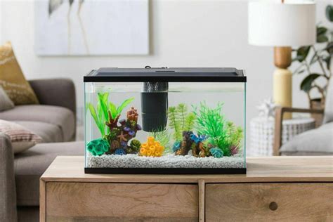 Best 10 Gallon Fish Tank/Aquariums (Reviews, Setup Ideas & Equipment)