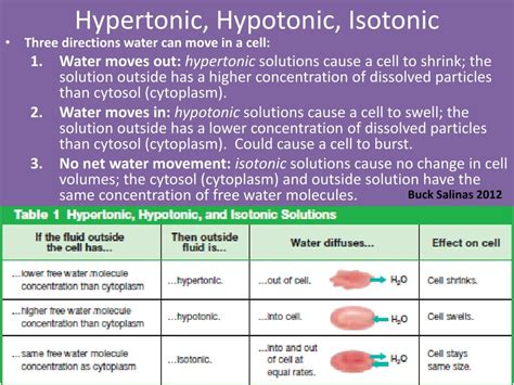 Hypertonic hypotonic isotonic simple diagrams - londoninriko