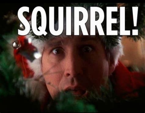 Pin on Griswold Family Christmas | Christmas vacation movie, Christmas vacation movie quotes ...