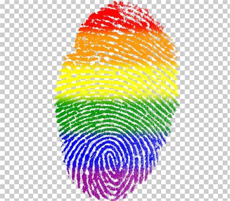 LGBT Symbols Gay Pride Rainbow Flag Pride Parade PNG, Clipart, Bisexual ...