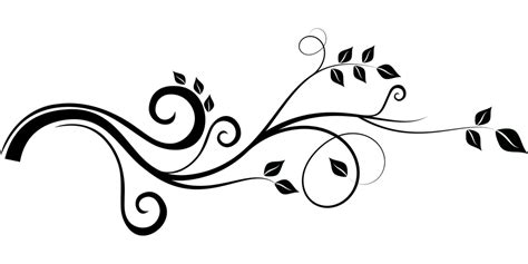 11+ Leaf Vector Png Black And White