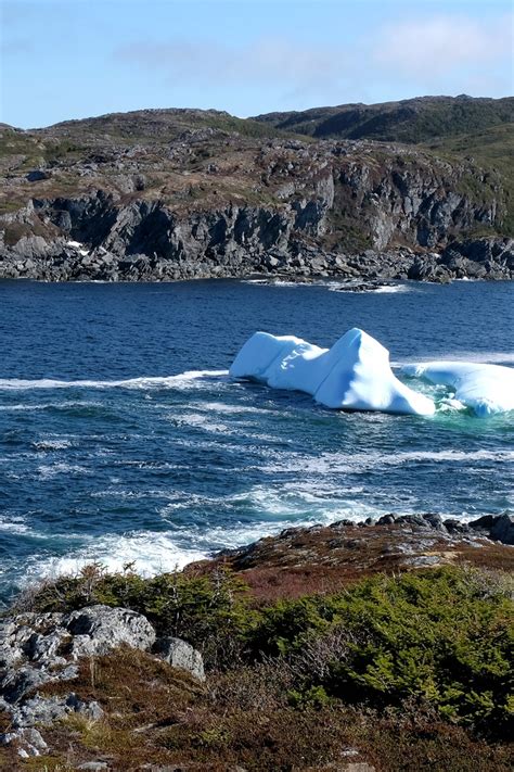 Iceberg Water And The Race To Exploit The Arctic The, 45% OFF