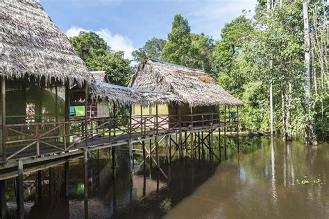 Peru – Accommodation in the Amazon Rainforest with Jacamar Lodge ...