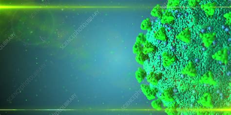 Coronavirus particle, illustration - Stock Image - F036/7022 - Science Photo Library