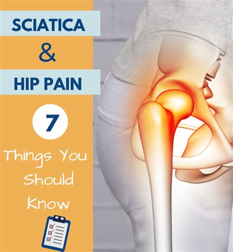 Can Sciatica Cause Hip Pain? 7 Things You to Know – Easy Posture Brands