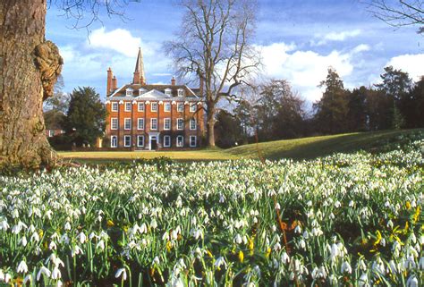 Snowdrops at Welford Park, 1 February to 5 March 2023 - Penny Post