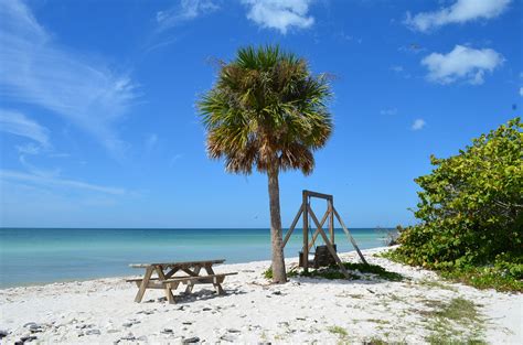 Honeymoon Island State Park, Dunedin Florida | Florida vacation, Beach ...