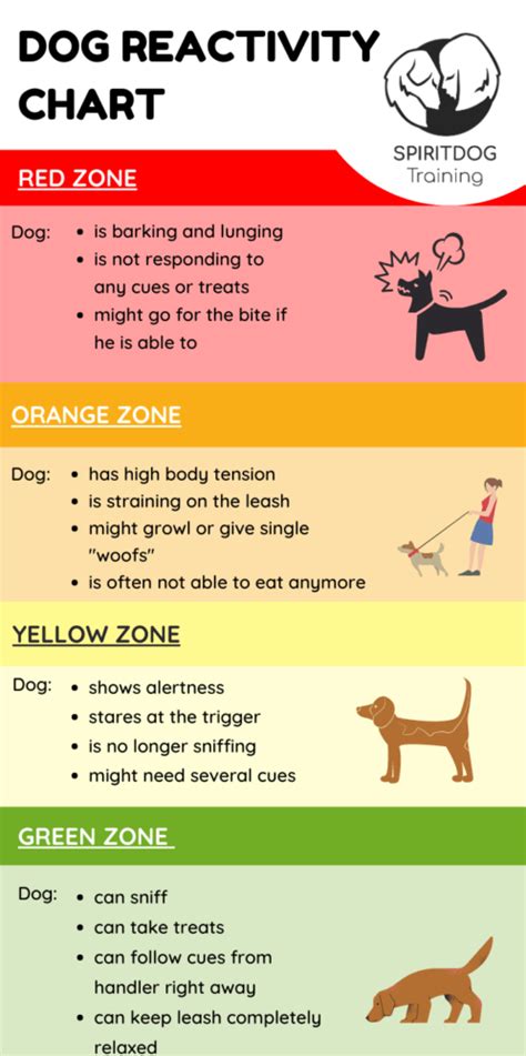 How to Stop Puppy Aggression towards Other Dogs - DogDwell