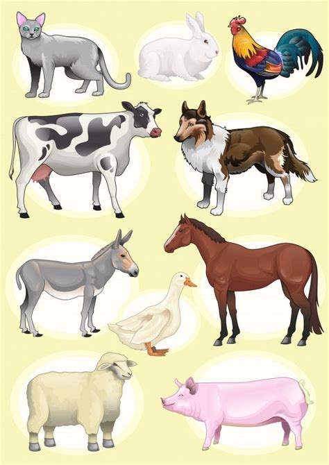 Set Realistic Farm Animals | Animal pictures for kids, Animal clipart ...