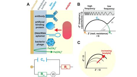 What is a Biosensor? | Types of Biosensor