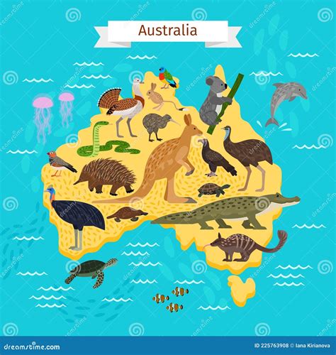 Animals and Birds on Australia Map Stock Vector - Illustration of snake ...