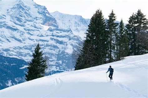 Winter Alpine Adventure | Scenic Air