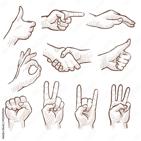 Hand drawing sketch man hands showing different gestures vector set vector de Stock | Adobe Stock