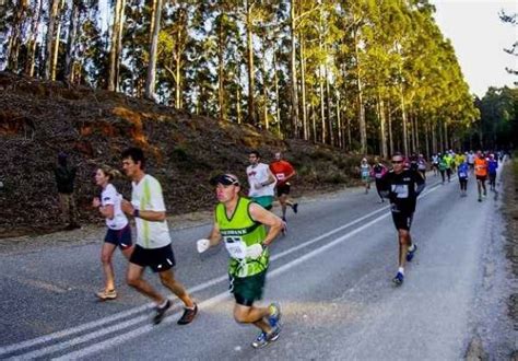 Momentum Knysna Forest Marathon & Half Marathon - Runner's World