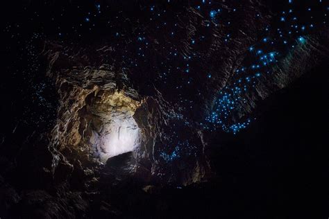 Waitomo Glowworm Cave: A Dazzling Underground Expanse Of Glowworms And ...