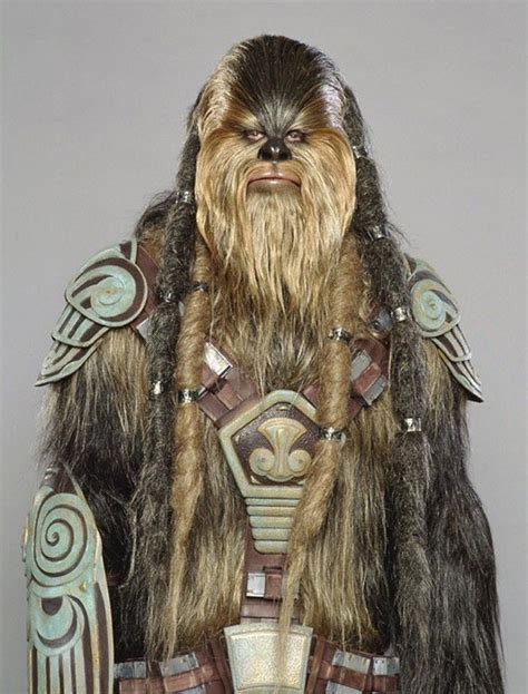 22 best Wookiee Wonderland images on Pinterest | Star wars, Chewbacca ...