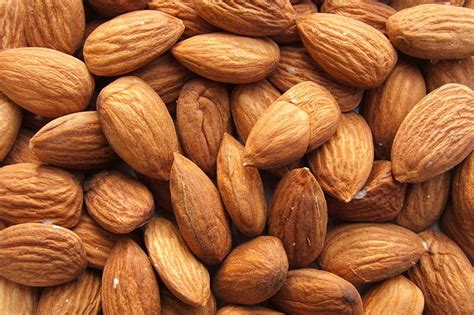 The USDA ban on raw almonds is a food freedom issue, not a food safety issue! – Real Food Houston