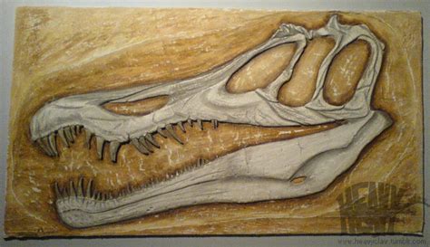 Baryonyx Skull by HeavyClaw on DeviantArt