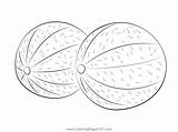 Two Whole Cantaloupe Melons Coloring Page  And melon sketch template