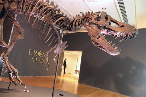 T-Rex fossil sells for record-breaking $31.8 mn