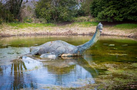 Hinweis Peitsche Endpunkt schottland loch ness monster verleihen ...