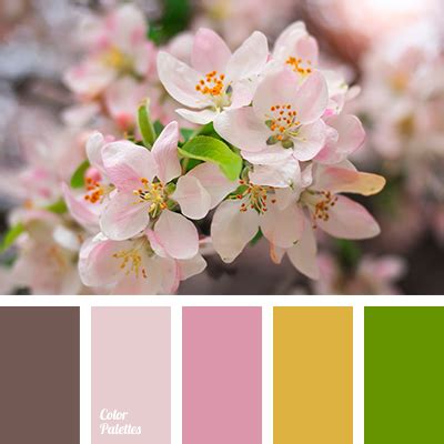 pink brown | Color Palette Ideas