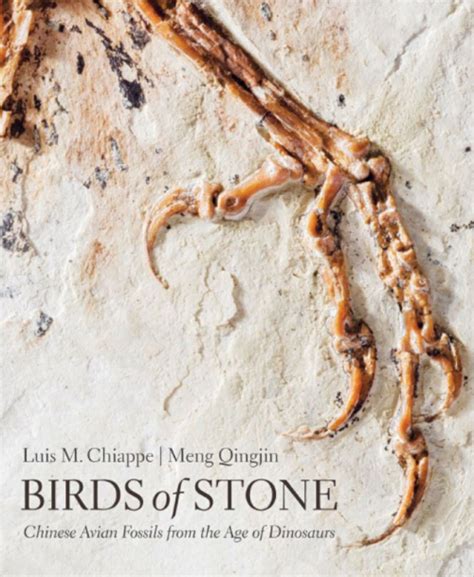 Birds of stone. Chinese avian fossils from the age of dinosaurs / Каменные птицы. Птичьи ...