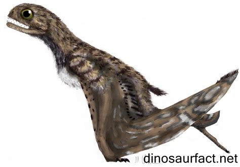 Jeholopterus Dinosaur