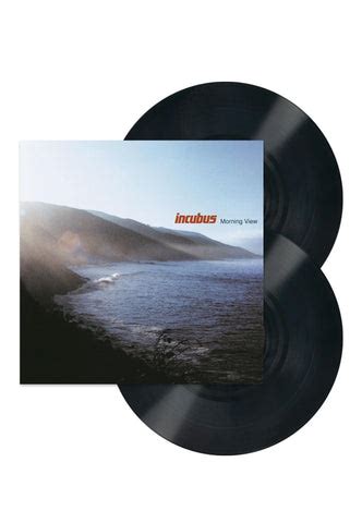 Incubus - Morning View (180-GM Vinyl 2xLP) – Rare Limiteds