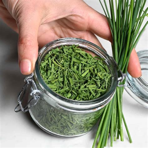 How to Dry Parsley (3 Methods) - Alphafoodie