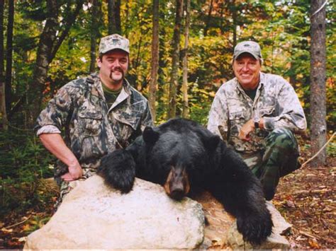 Maine Bear Hunting Guide Information at Maine Guides Online