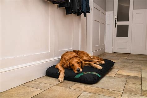 The Durasoft Tuffies Mattress - Mattress Dog Beds | Tuffies