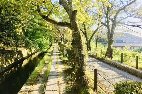 Full-Day Private Guided Tour to Kyoto Temples