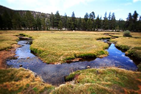 Golden Trout Wilderness and Cottonwood Lakes - California Through My Lens