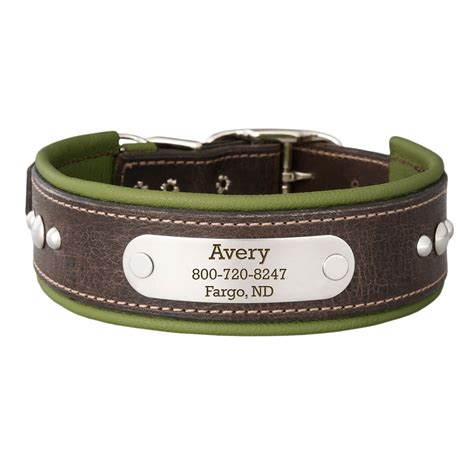 Leather Collar with Nameplate | Leather dog collars, Leather, Leather collar