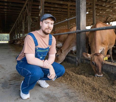 DMI partners with YouTuber MrBeast on gaming - Dairy Industries ...