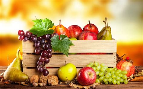 HD wallpaper: grapes, fruit, nuts, still life, plum, burlap, garnet | Wallpaper Flare