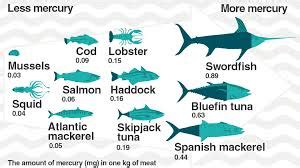 Top 15 Low and High Mercury Fish