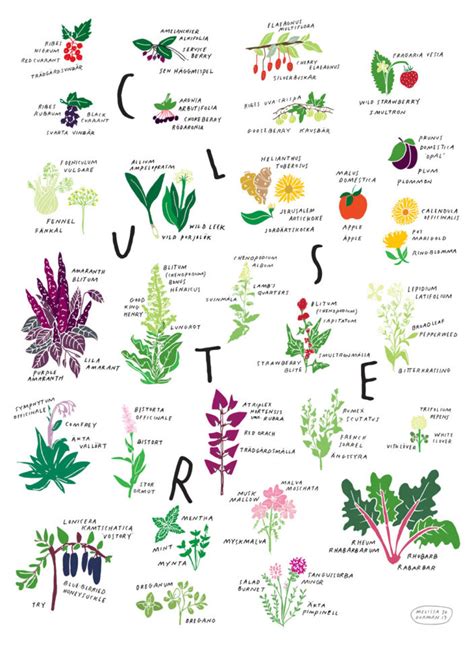 Printable Edible Plants Chart - Printable Word Searches