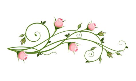 Flower Vine Illustrations, Royalty-Free Vector Graphics & Clip Art - iStock