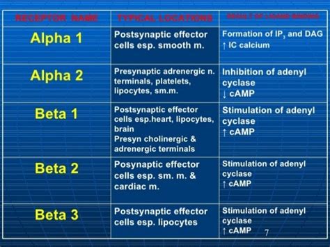 Adrenergic antagonists alpha and beta blockers