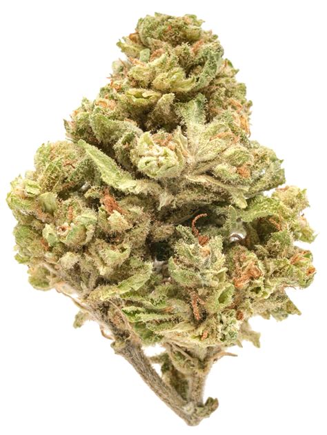 Acapulco Gold Weed Strain Information | Weedmaps