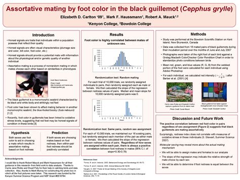 Poster Examples - How do I Design a Research Poster? - Research Guides at University of Colorado ...